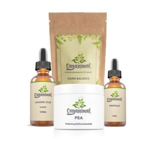 Allergie-Set für Katzen